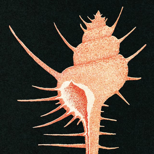 Album cover art for Adrift in Time