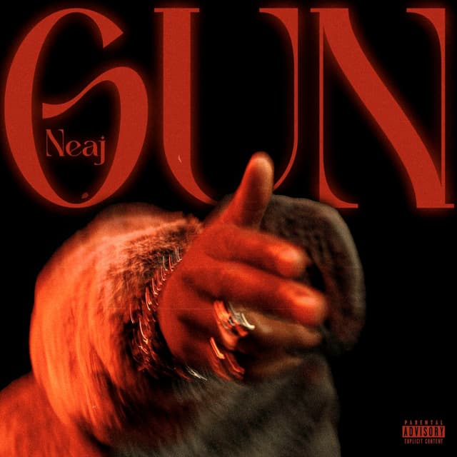 Album cover art for Gun