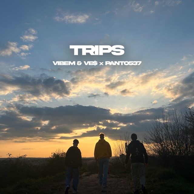 Album cover art for Trips