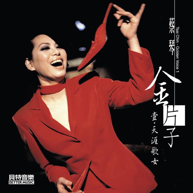 Album cover art for 金片子【壹】天涯歌女