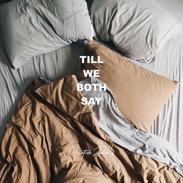 Album cover art for Till We Both Say