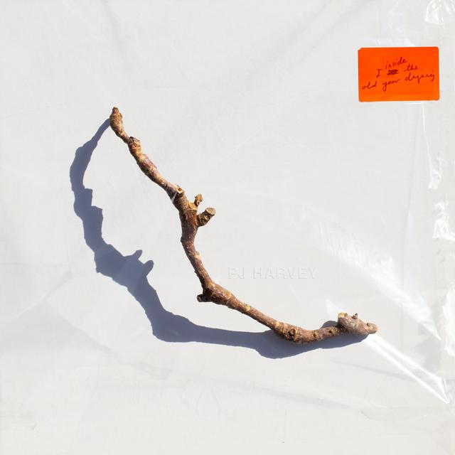 Album cover art for I Inside the Old Year Dying