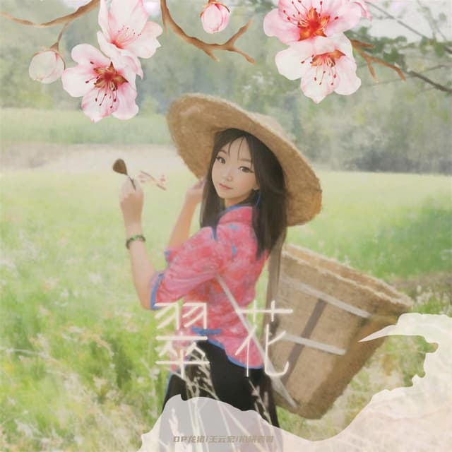 Album cover art for 翠花