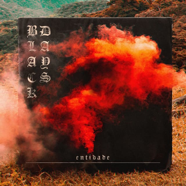 Album cover art for Entidade