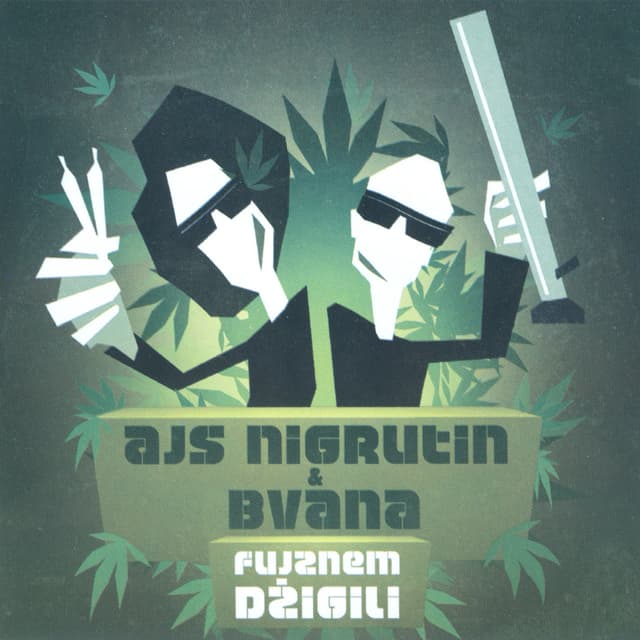 Album cover art for Fujznem džigili