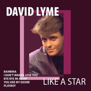 Album cover art for Like A Star