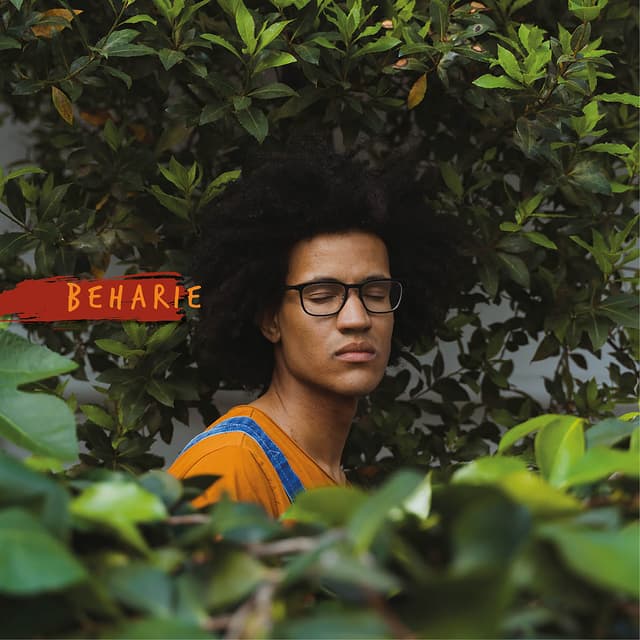 Album cover art for Beharie