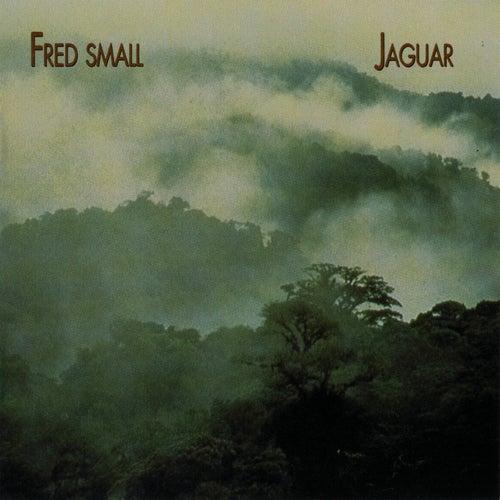 Album cover art for Jaguar