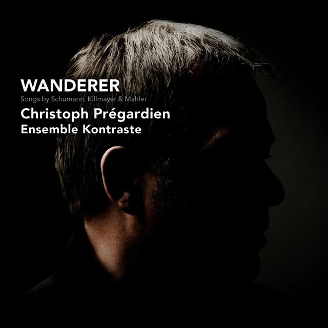 Album cover art for Wanderer