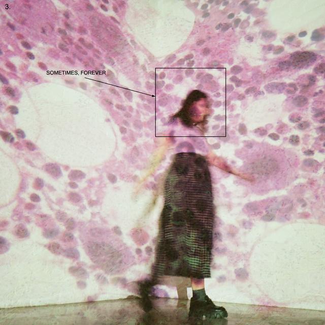 Album cover art for Sometimes, Forever