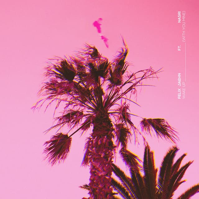 Album cover art for Wake Up (With You Mine)