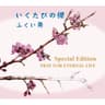 いくたびの櫻 (アコースティックVer.) (iku tabi no sakura ( akosuthikku Ver.))