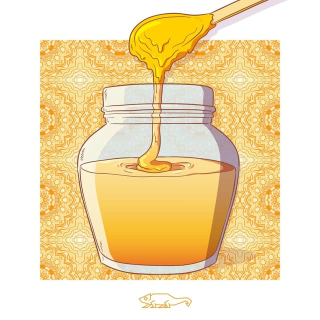 Album cover art for Honig