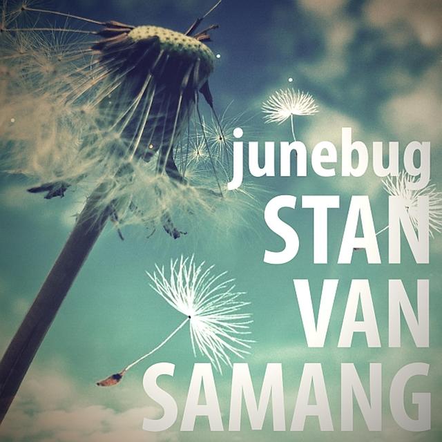 Album cover art for Junebug