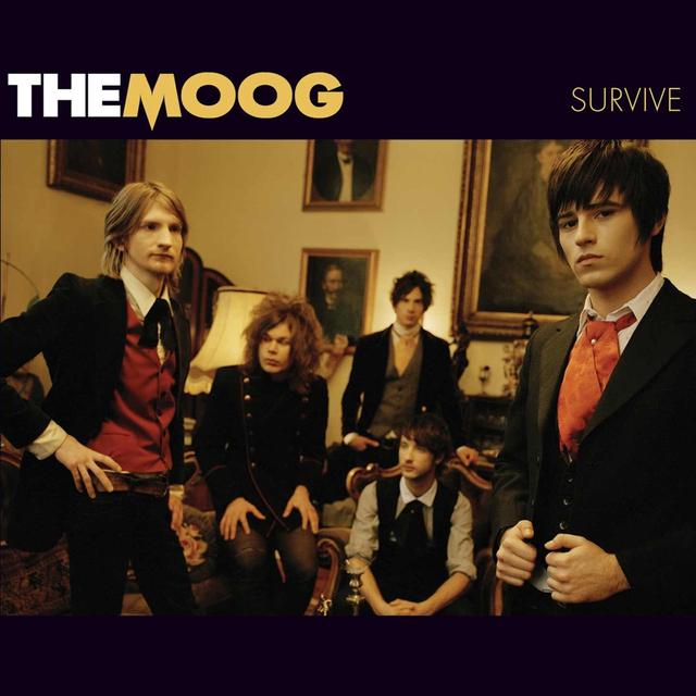 Album cover art for Survive