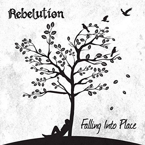 Album cover art for Falling into Place