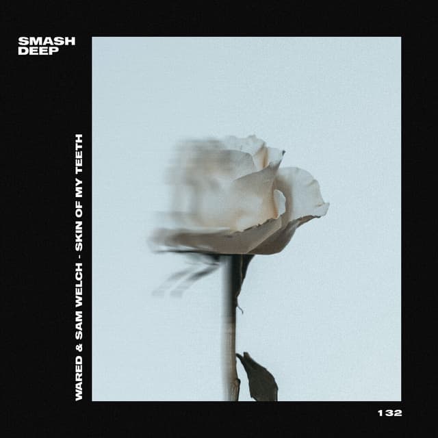 Album cover art for Skin of My Teeth
