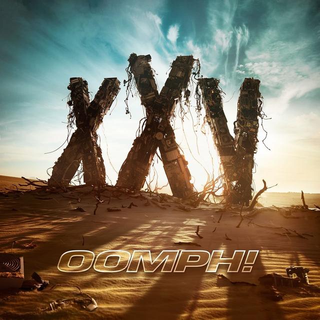 Album cover art for XXV