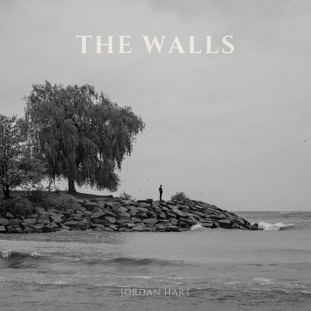 Album cover art for The Walls