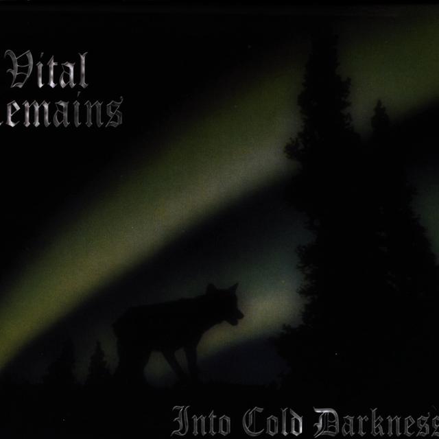 Album cover art for Into Cold Darkness