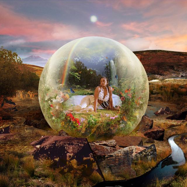 Album cover art for flora + fana