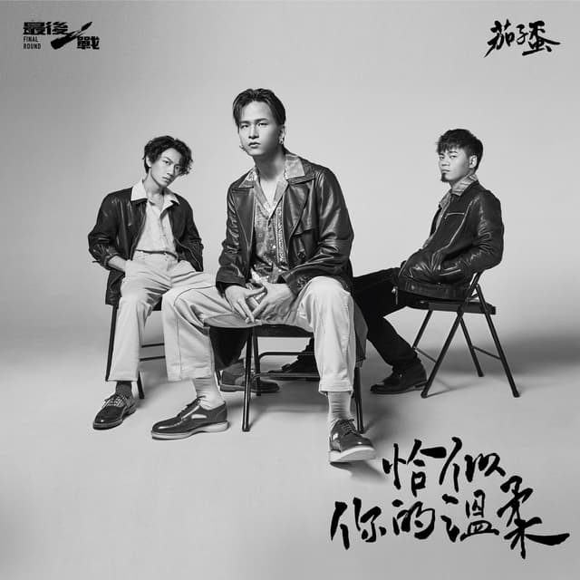 Album cover art for 恰似你的溫柔