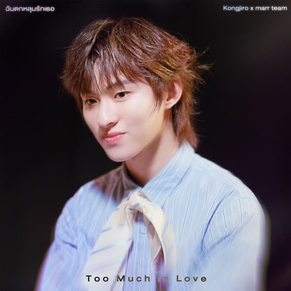 Album cover art for ฉันตกหลุมรักเธอ (Too Much in Love)