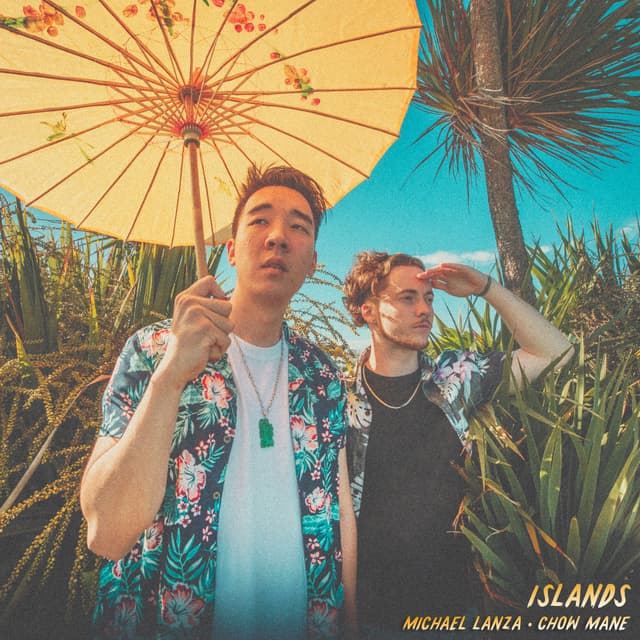 Album cover art for Islands