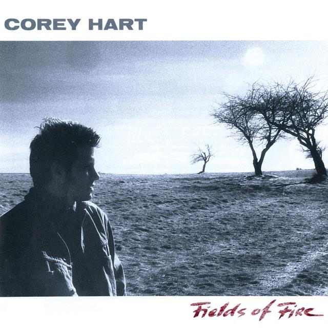 Album cover art for Fields of Fire