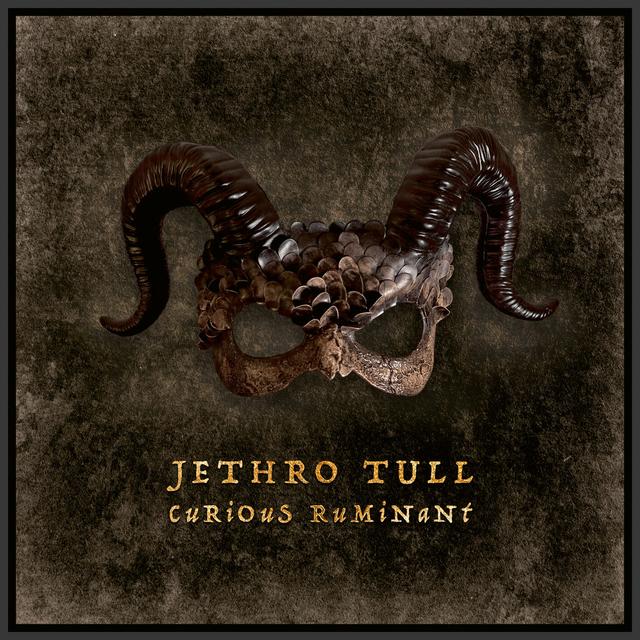 Album cover art for Curious Ruminant