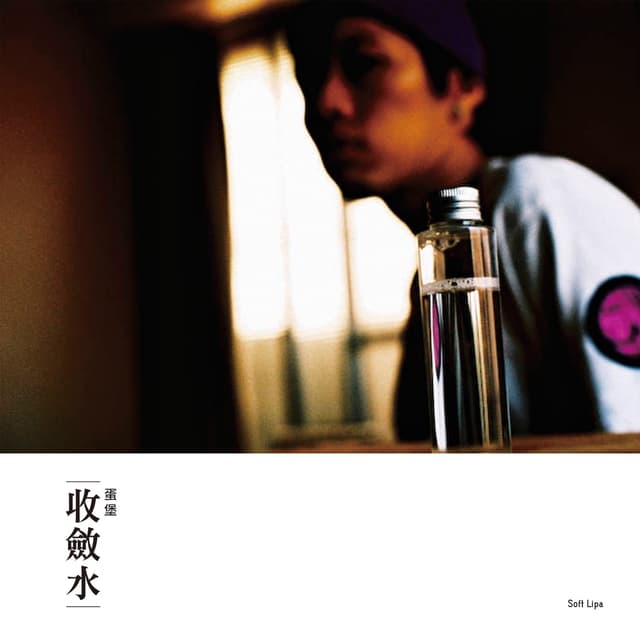Album cover art for 收斂水
