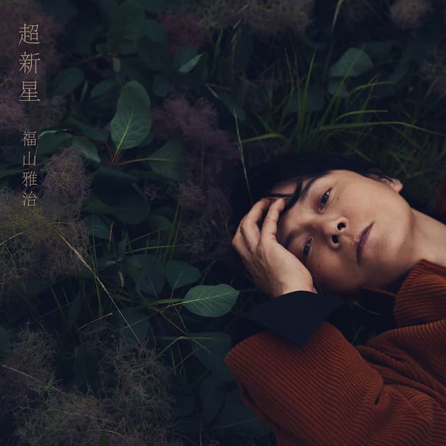 Album cover art for Supernova