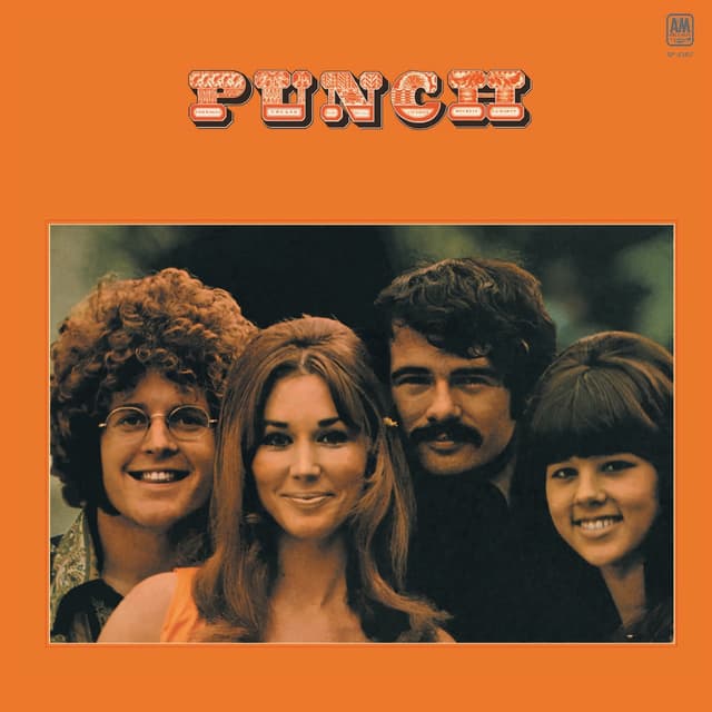 Album cover art for Punch
