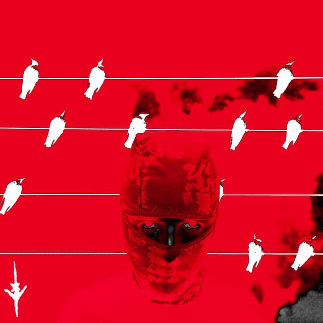 Album cover art for bird brain