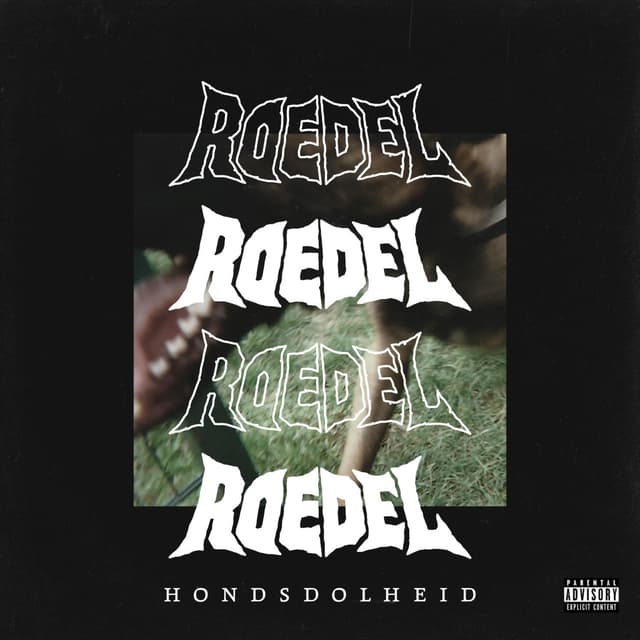 Album cover art for Hondsdolheid