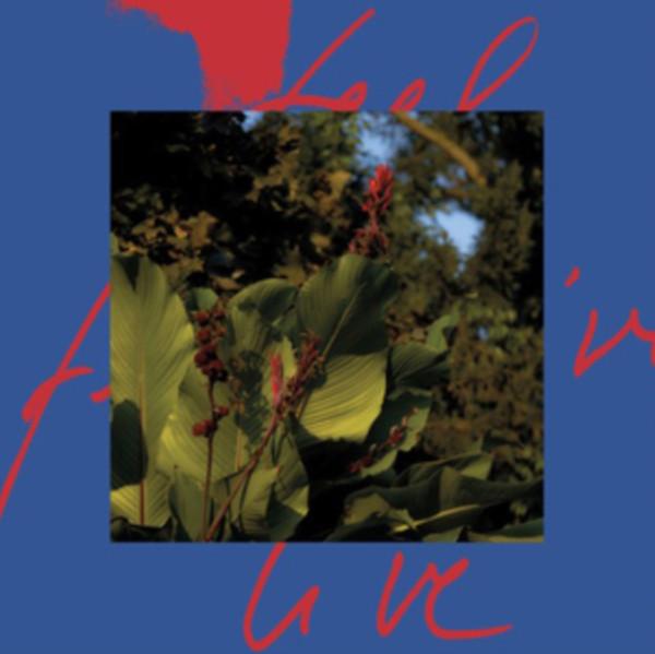 Album cover art for Feel Live