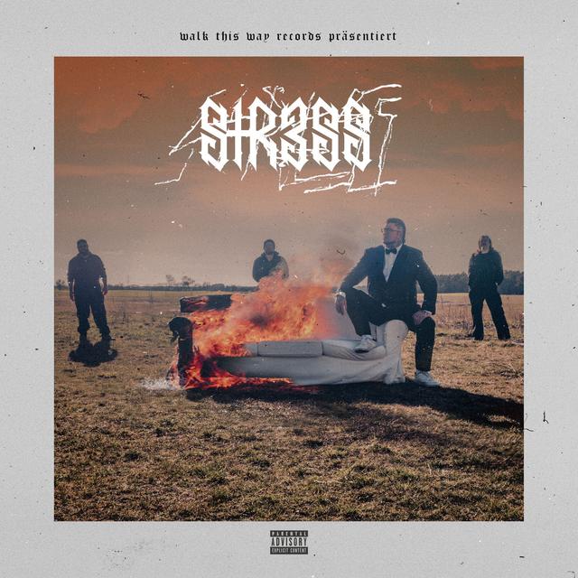 Album cover art for STRESS