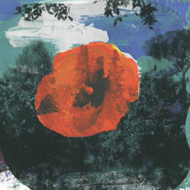 Album cover art for The Great Unknown