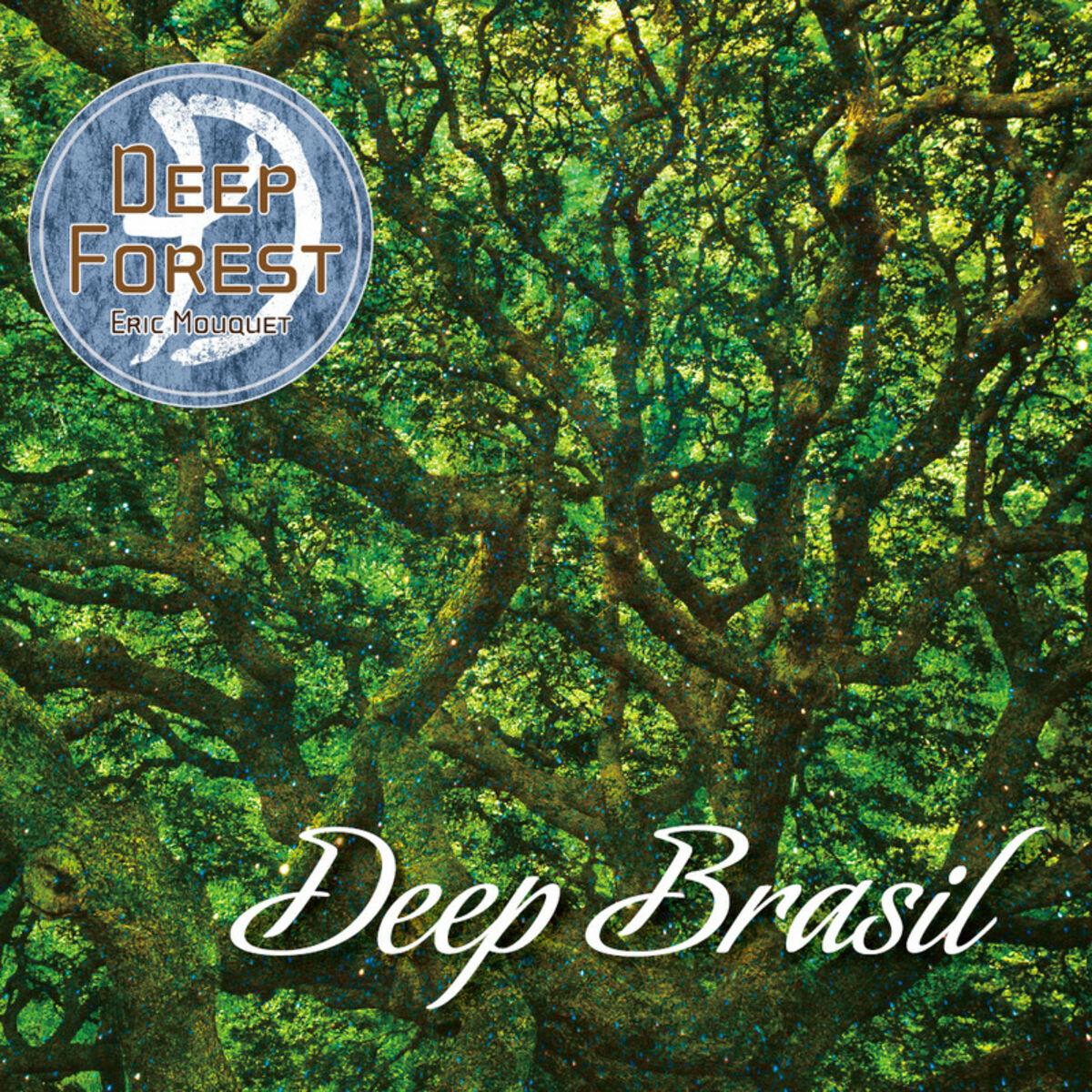 Deep Brasil