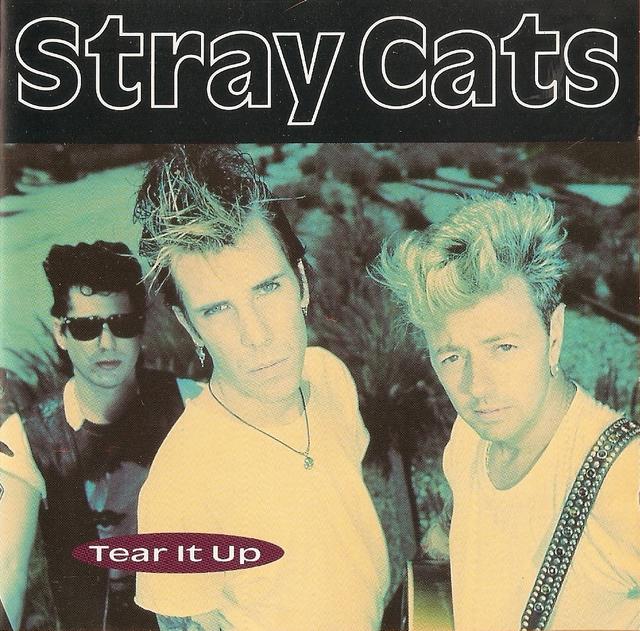 Album cover art for Live: Tear It Up