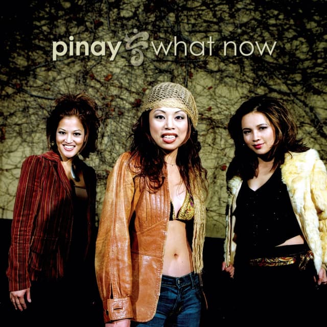 Album cover art for What Now