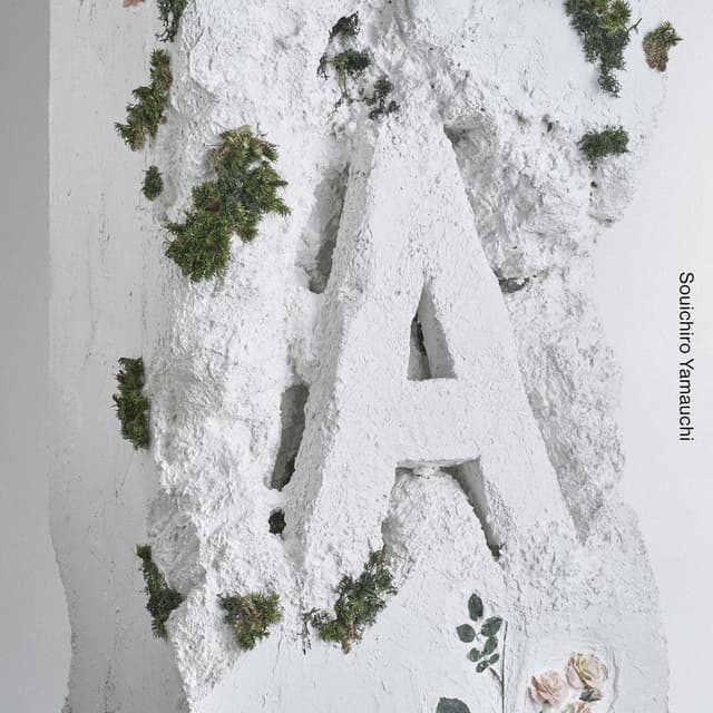 Album cover art for A