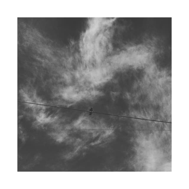 Album cover art for Nekura