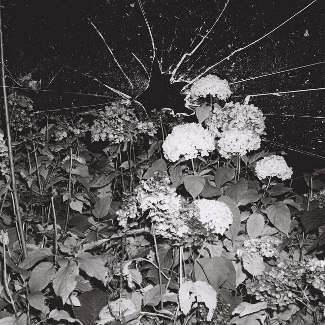 Album cover art for kontrollverlust