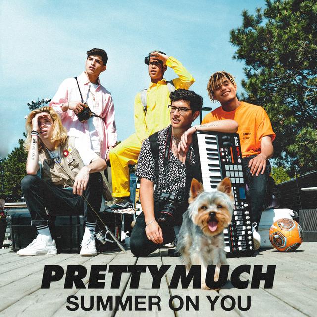 Album cover art for Summer on You