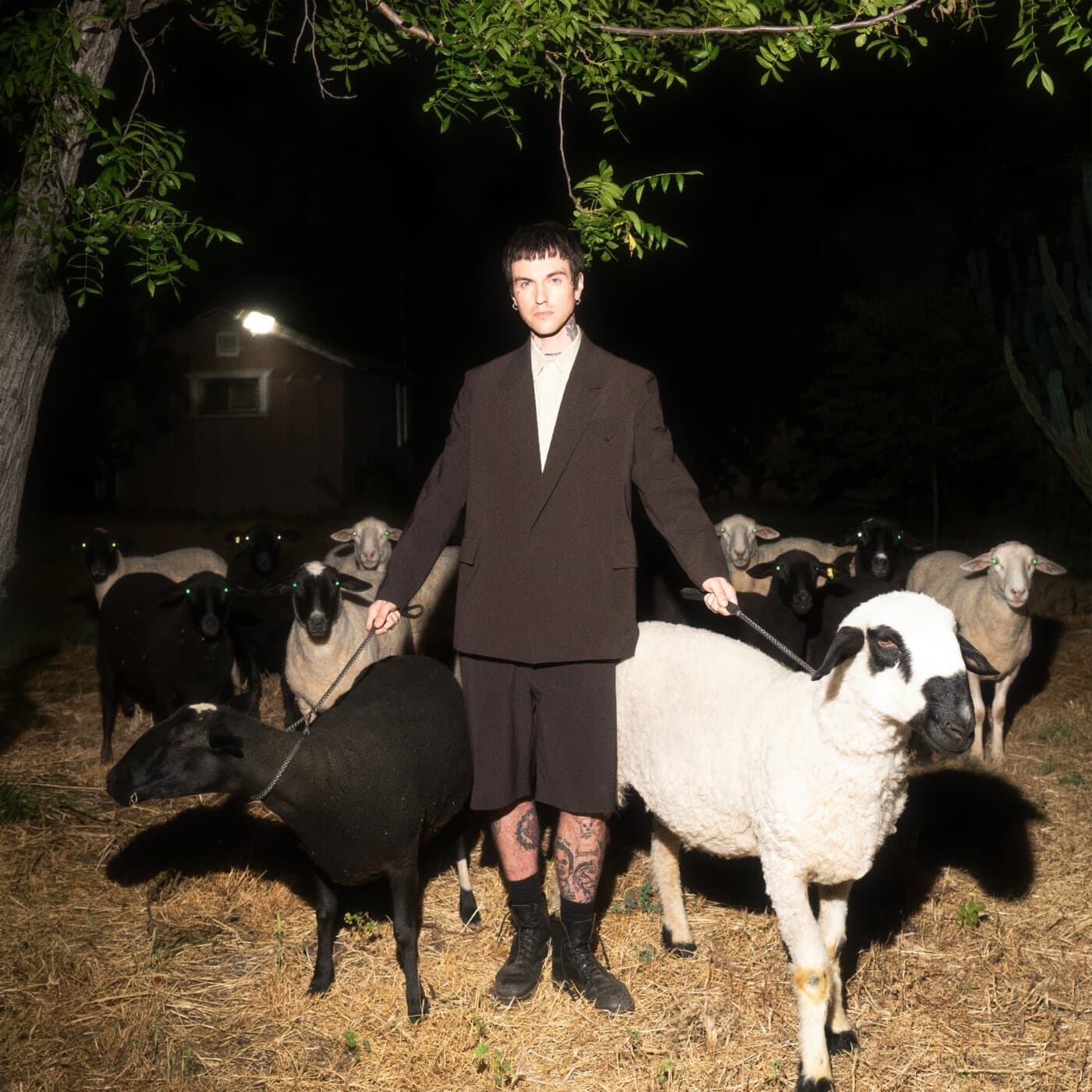 Lyric cover art