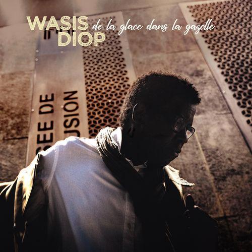 Album cover art for De la glace dans la gazelle