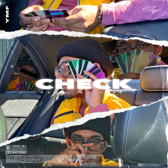 Album cover art for Check