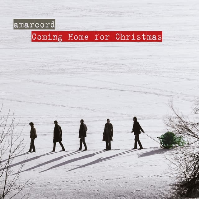 Album cover art for Coming Home For Christmas