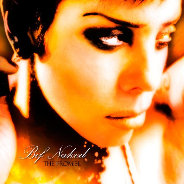 Album cover art for The Promise